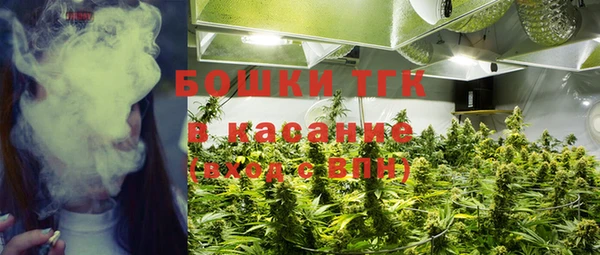 стафф Белокуриха
