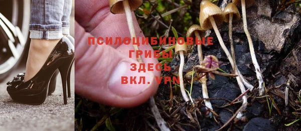 МДМА Беломорск