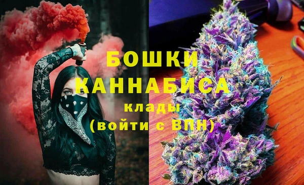 стафф Белокуриха