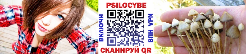 Псилоцибиновые грибы прущие грибы  купить закладку  Златоуст 